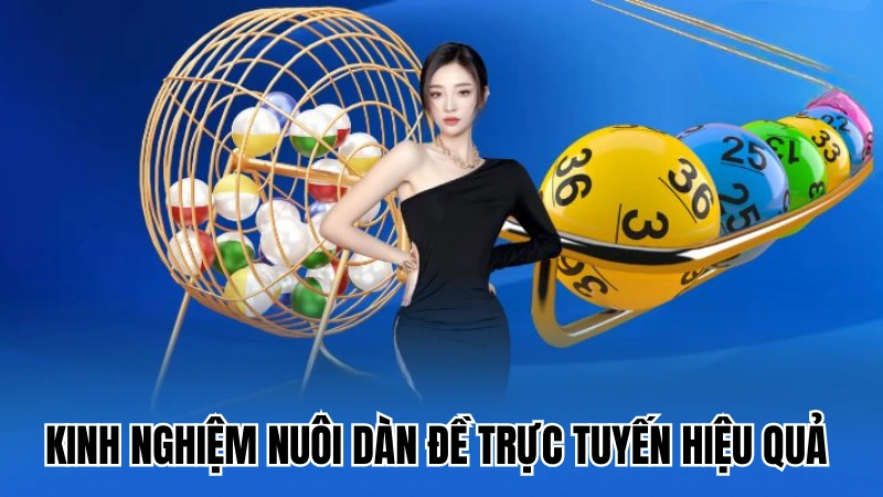 Kinh nghiệm nuôi dàn đề trực tuyến hiệu quả cho người mới
